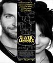 Digiturk Salon 1, Umut Işığım - Silver Linings Playbook