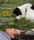 Film, Bir Köpek Yılı - A Dog Year