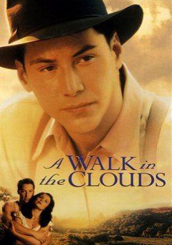 Film, Bulutlarin Ötesi - A Walk in the Clouds