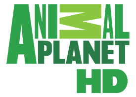 Digiturk Animal Planet HD Kanalı