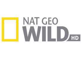 Net Geo Wild HD Kanalı